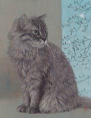 見ているふり/見ていないふり